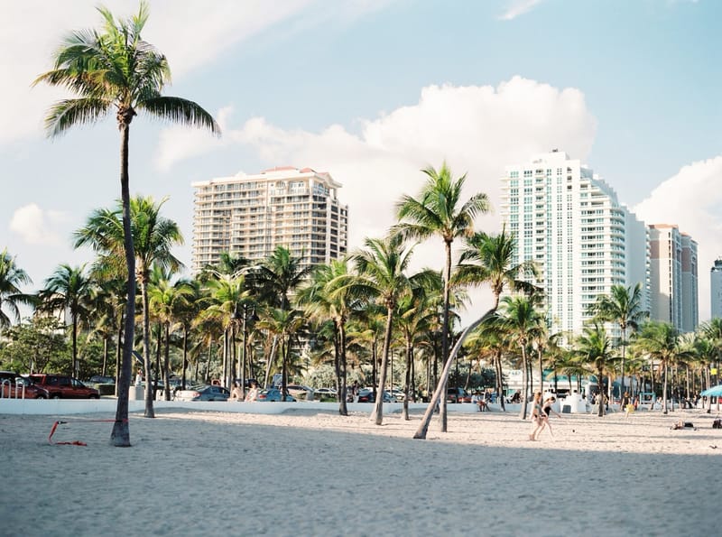 Miami Beach view with palm trees and oceanfront buildings representing Double2's Miami-based location